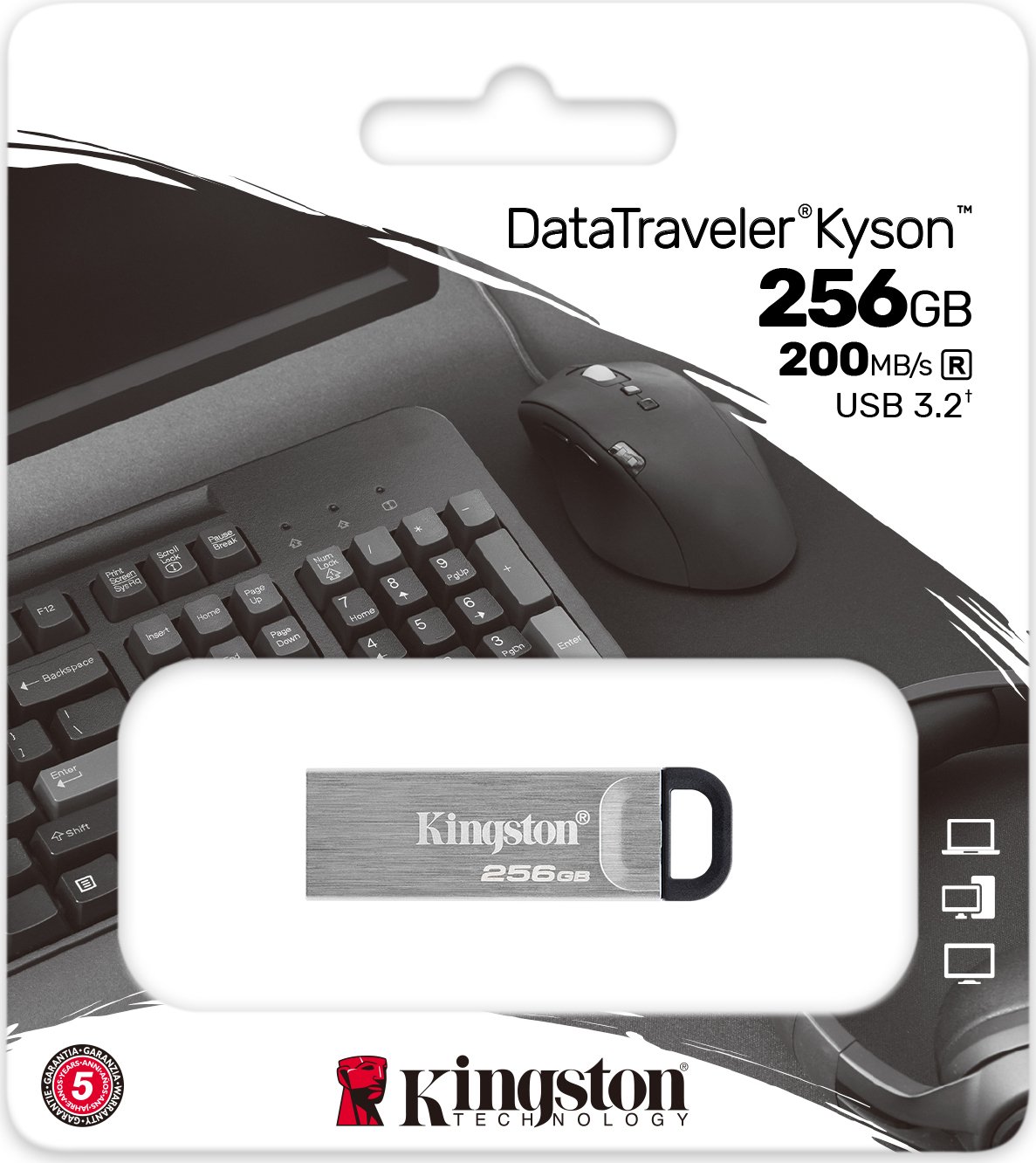 Kingston Kyson 256GB